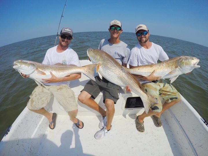 Hatteras Harbor Fishing Reports