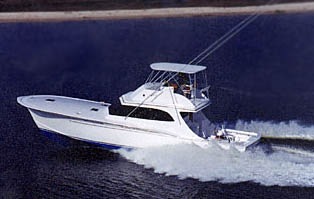 Sea Creature Charter Boat