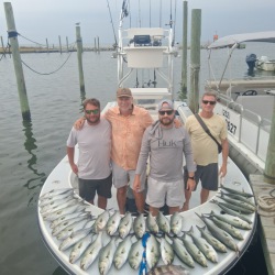 October 3, 2026